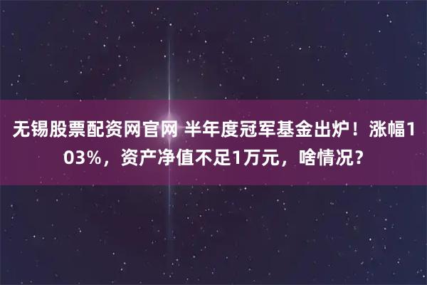无锡股票配资网官网 半年度冠军基金出炉！涨幅103%，资产净值不足1万元，啥情况？