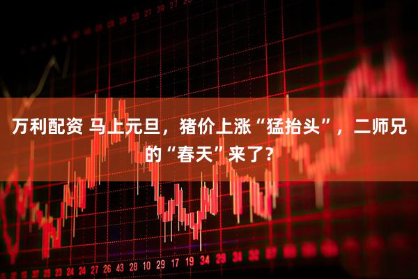 万利配资 马上元旦，猪价上涨“猛抬头”，二师兄的“春天”来了？