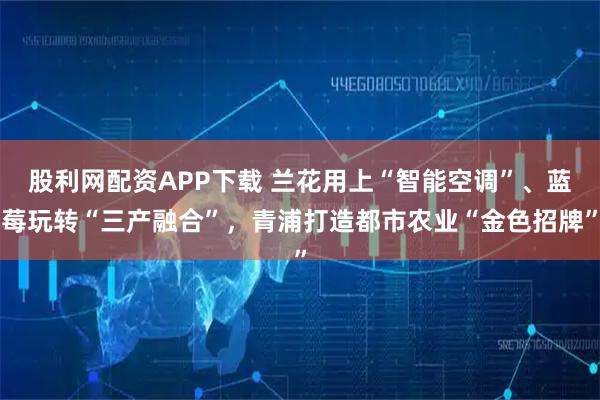 股利网配资APP下载 兰花用上“智能空调”、蓝莓玩转“三产融合”，青浦打造都市农业“金色招牌”